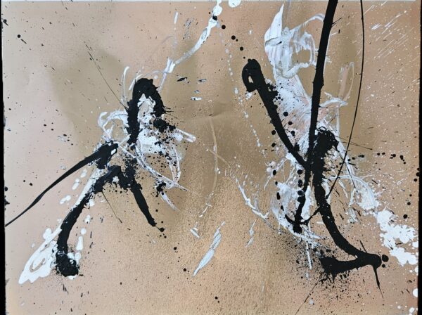 Obraz "Lesk a bída metalu" 52 x 42 cm - Robert Šafarčík